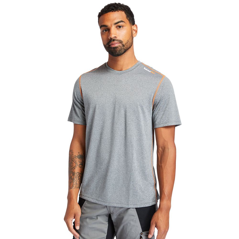 Camisetas Timberland Argentina Hombre - Pro® Wicking Good Sport Work - Gris - XJHSNA-942